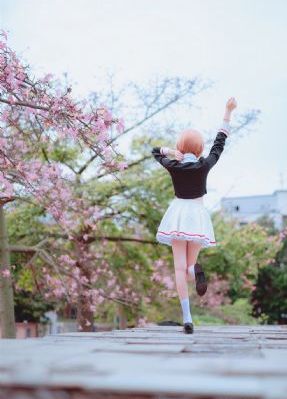 如意芳霏 电视剧